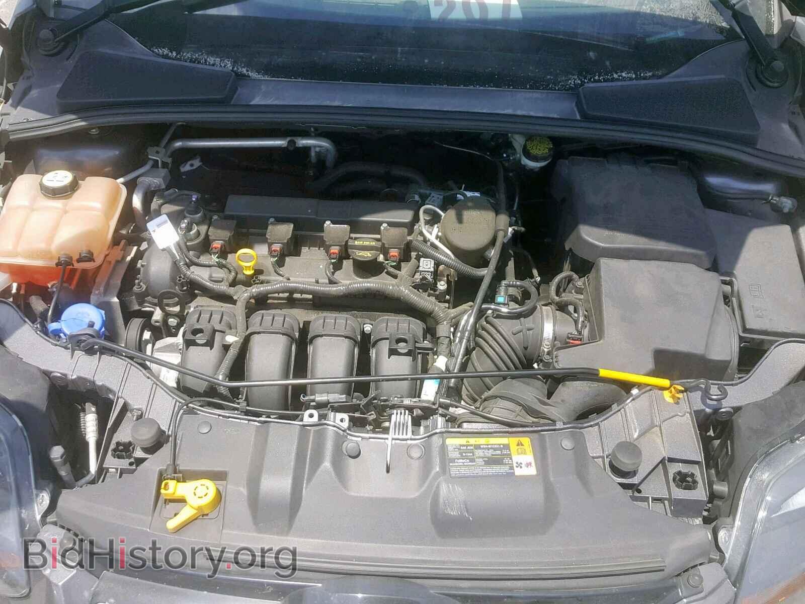 2013 FORD FOCUS - VIN: 1FADP3N24DL204867 - Фото 7