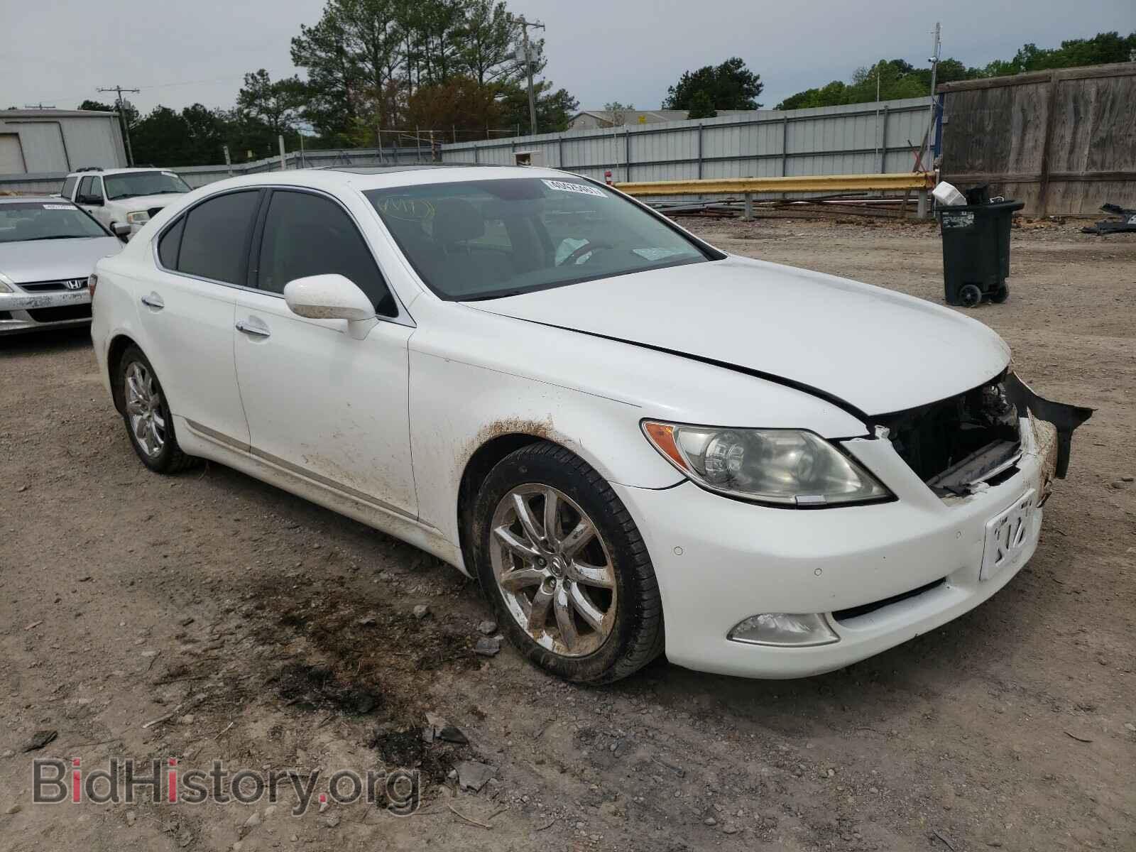 Photo JTHBL46F585055849 - LEXUS LS460 2008