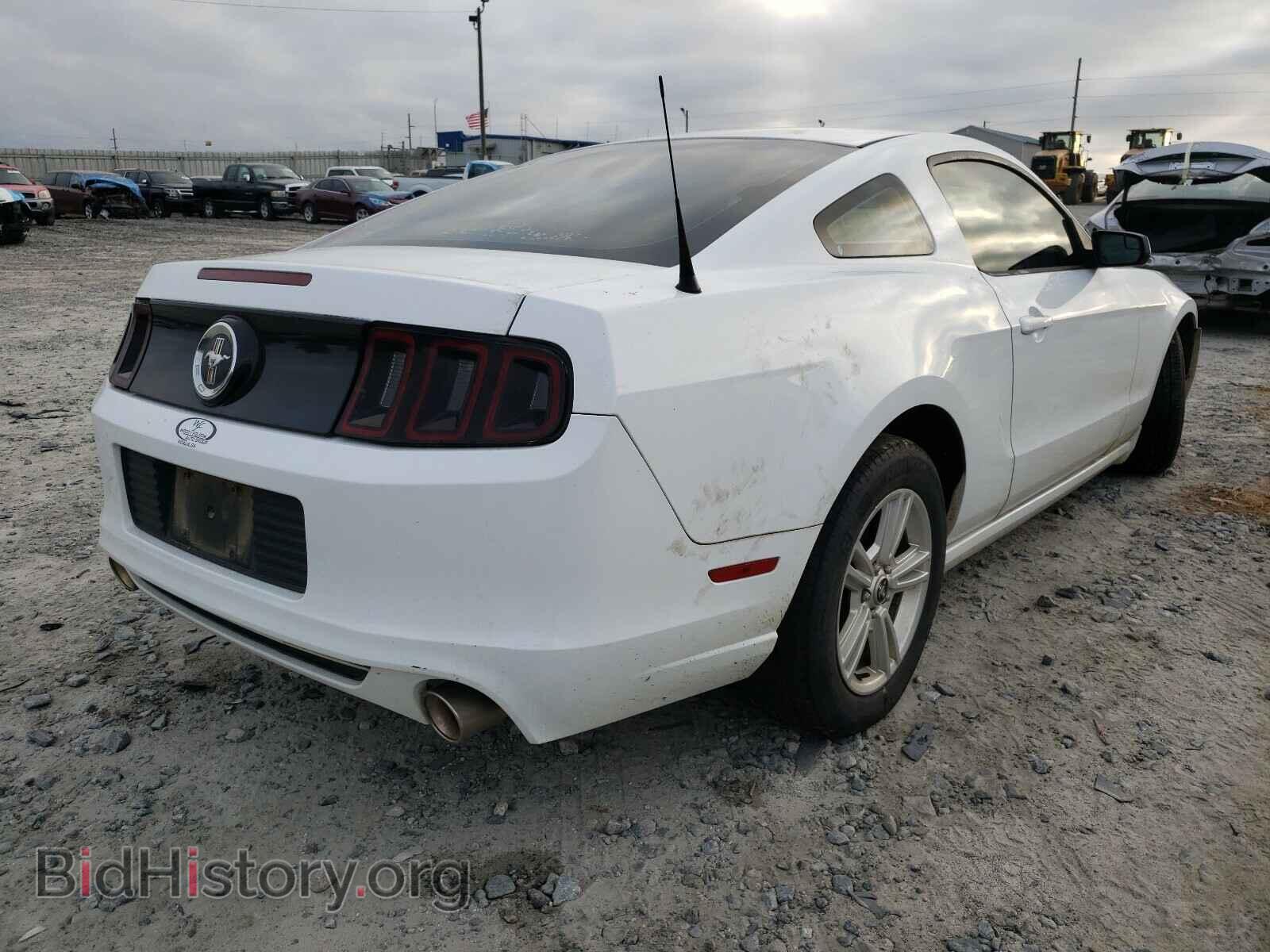 2014 FORD MUSTANG - VIN: 1ZVBP8AM8E5305743 - Фото 4