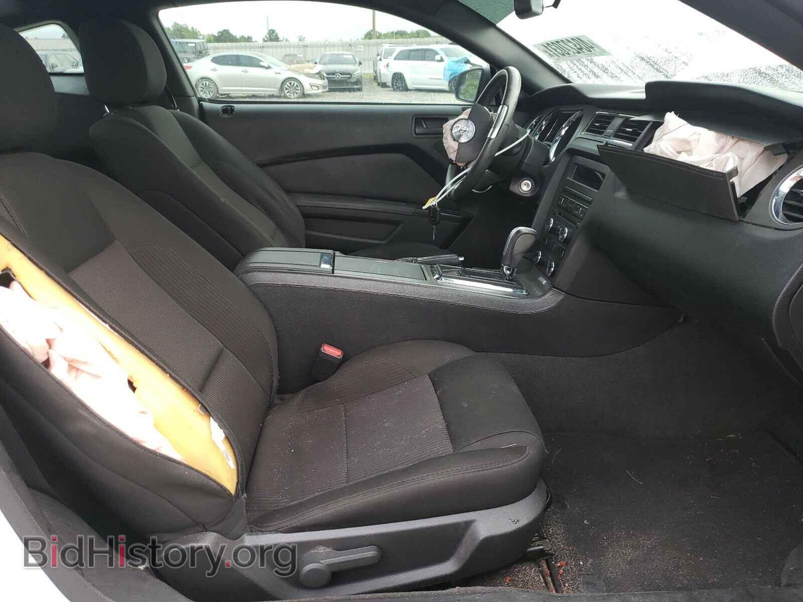2014 FORD MUSTANG - VIN: 1ZVBP8AM8E5305743 - Фото 5