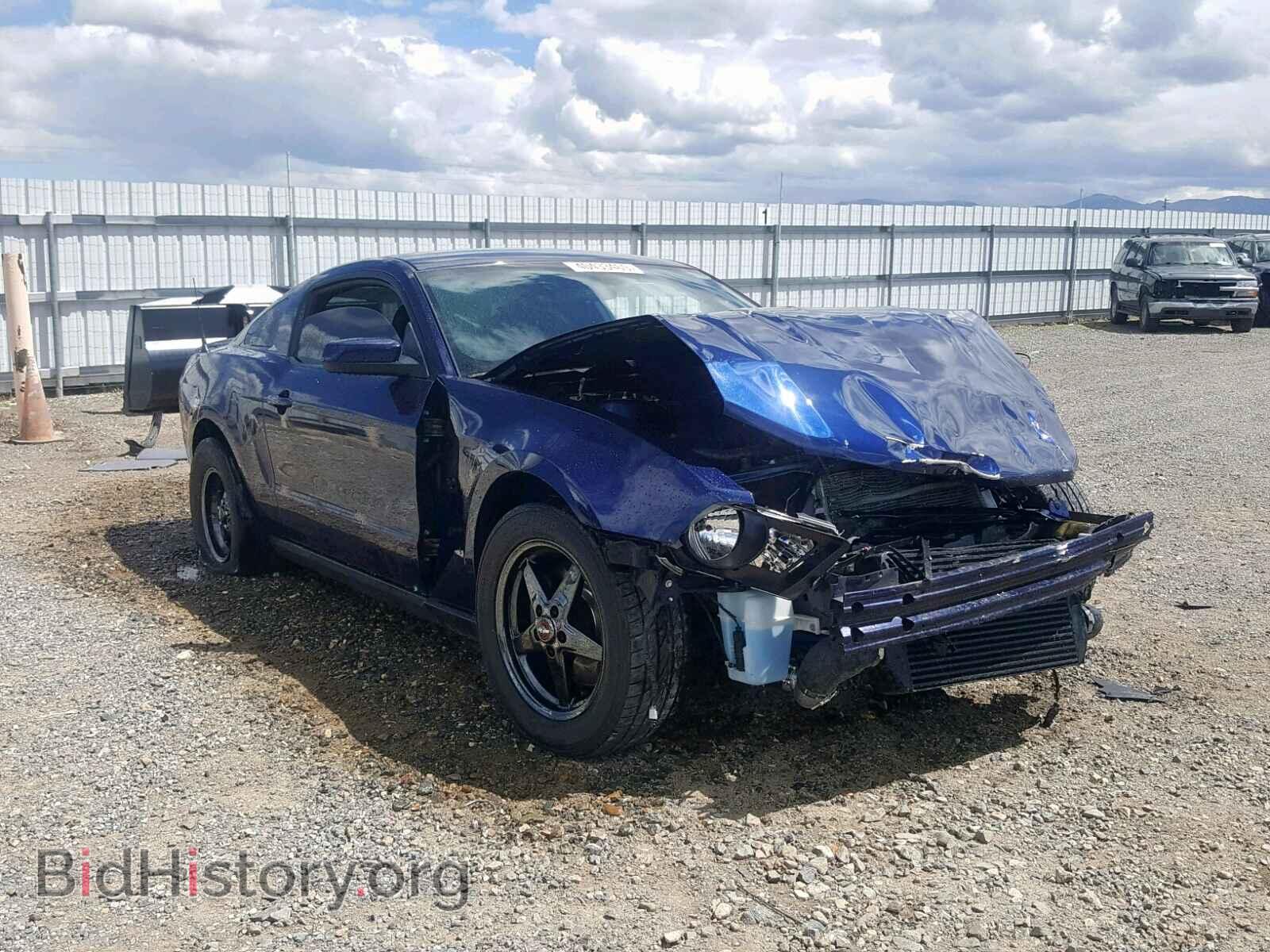 Photo 1ZVBP8CF9B5100894 - FORD MUSTANG GT 2011
