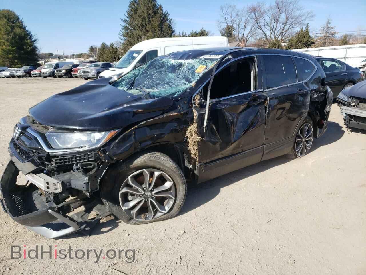 Photo 5J6RW2H51MA008717 - HONDA CRV 2021