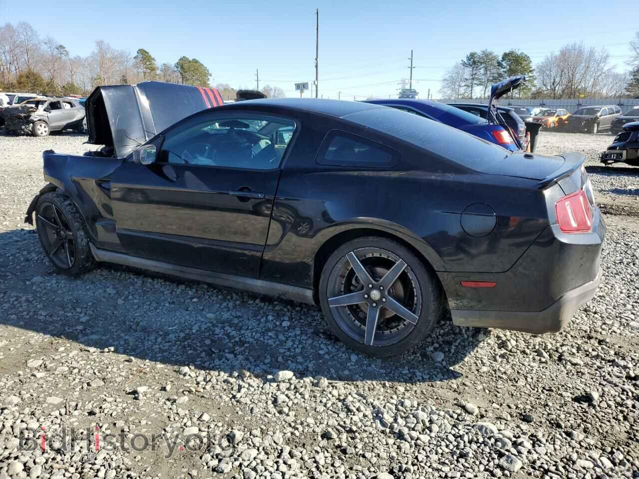 2011 FORD ALL Models - VIN: 1ZVBP8AM2B5126304 - Фото 2