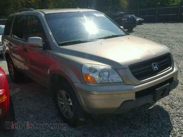 Фотография 5FNYF18595B053845 - HONDA PILOT 2005