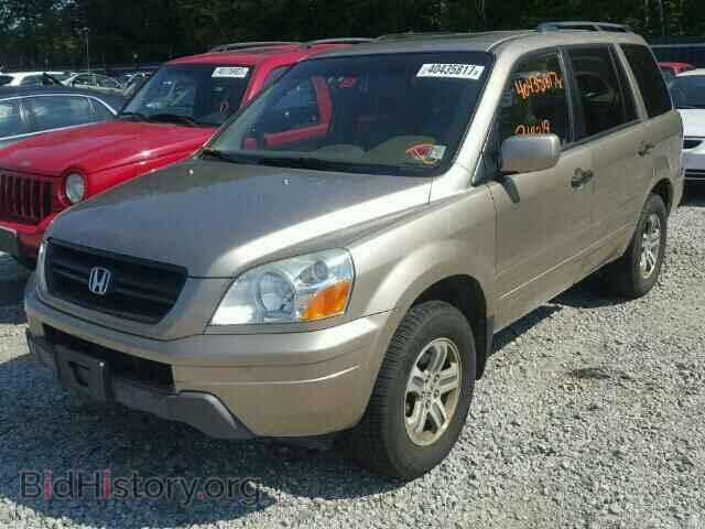 2005 HONDA PILOT - VIN: 5FNYF18595B053845 - Фото 2