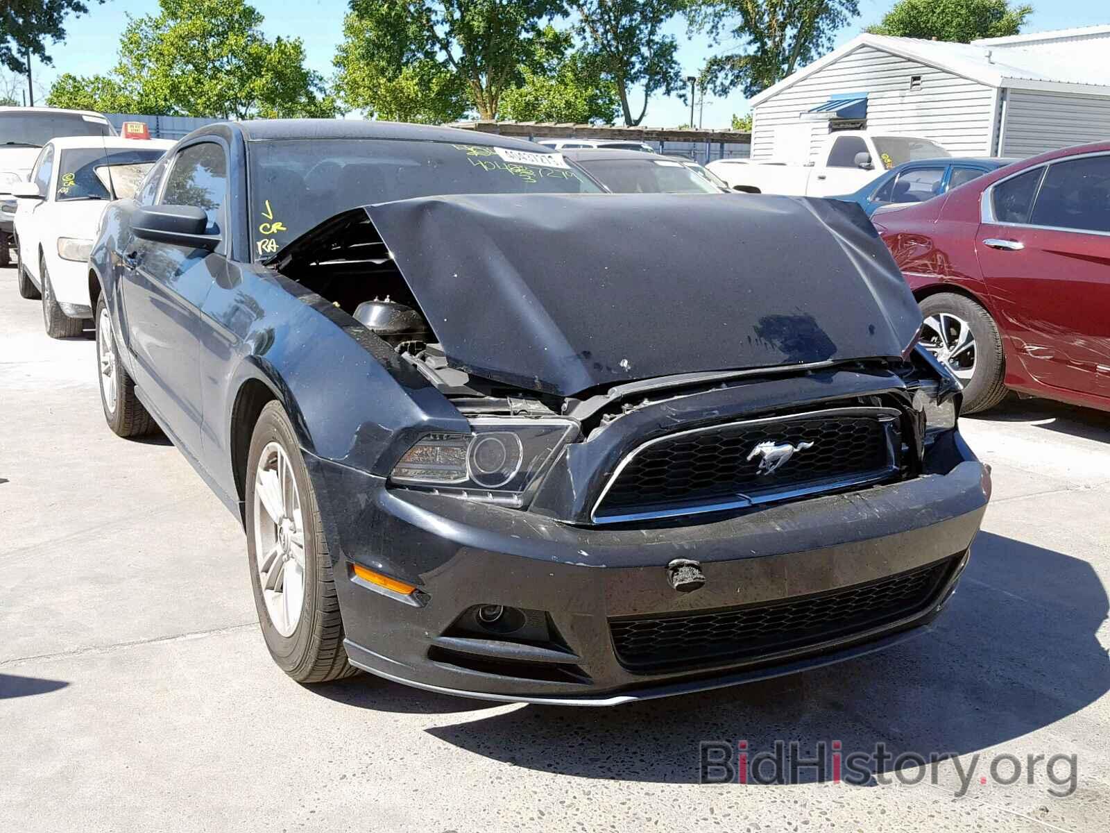 Photo 1ZVBP8AM3D5269782 - FORD MUSTANG 2013