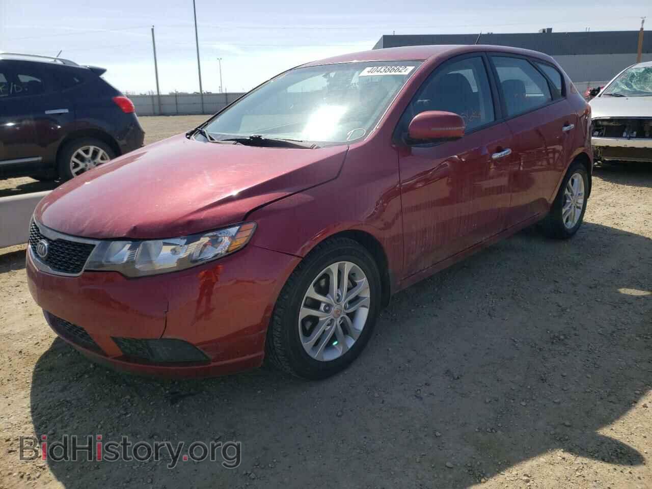 2012 KIA FORTE - VIN: KNAFU5A25C5590695 - Фото 2