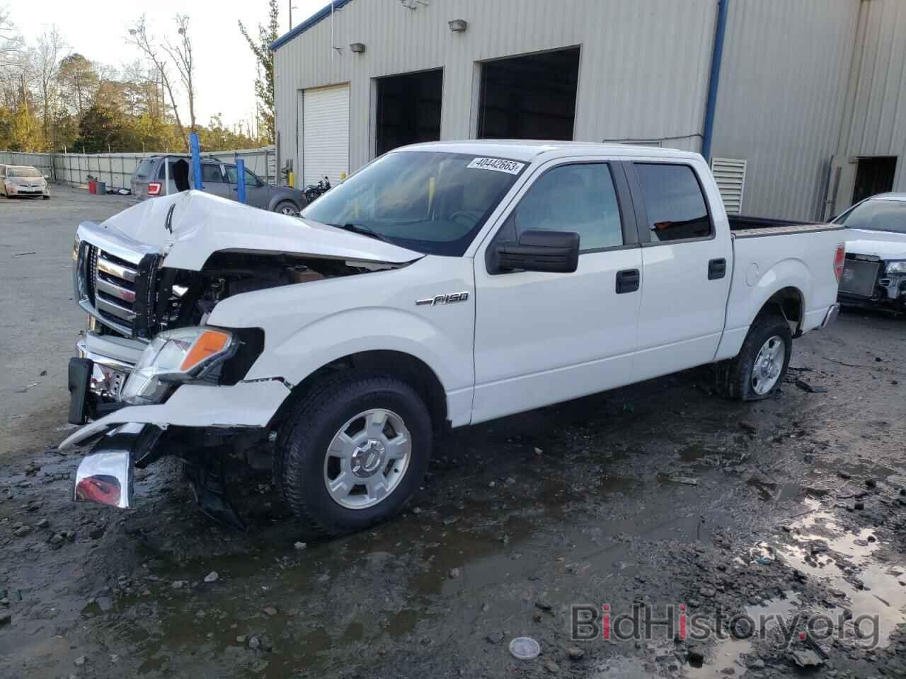Photo 1FTEW1C8XAFB02268 - FORD F-150 2010