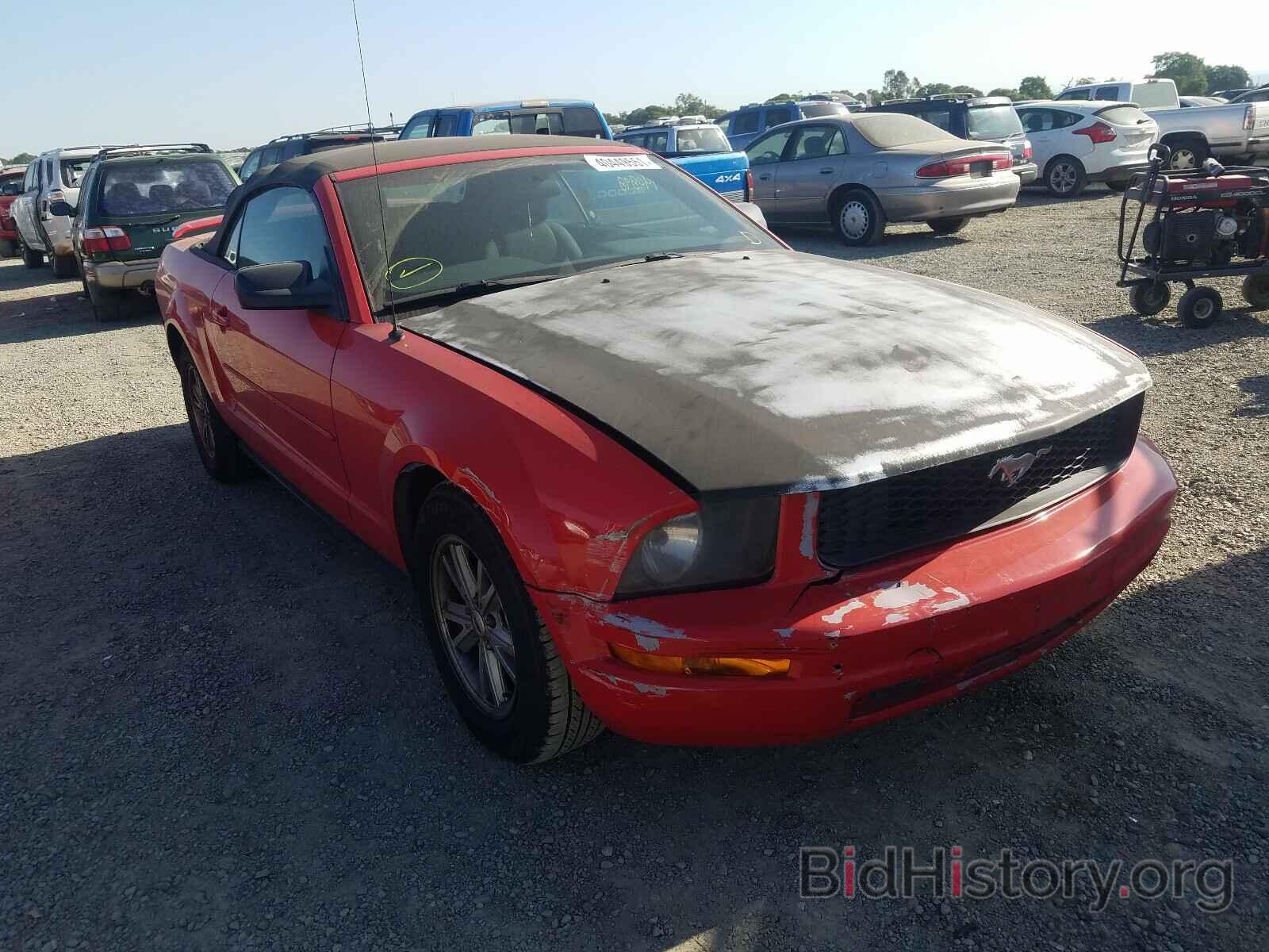 Photo 1ZVFT84NX65202004 - FORD MUSTANG 2006