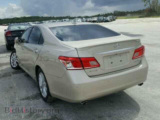 2010 LEXUS ES350 - VIN: JTHBK1EG3A2408222 - Фото 3