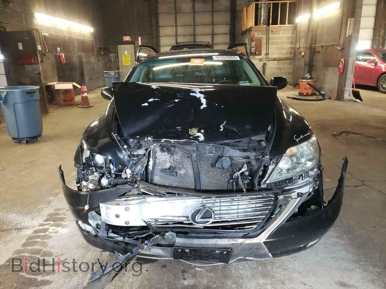 2009 LEXUS LS460 - VIN: JTHCL46FX95001369 - Фото 5