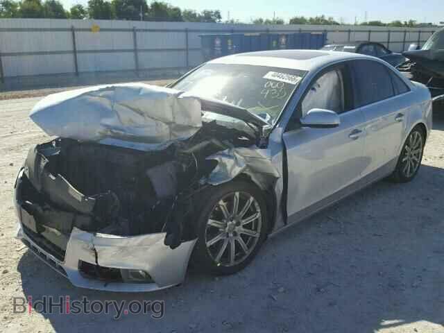 2010 AUDI A4 - VIN: WAUEFAFL7AN060435 - Фото 2