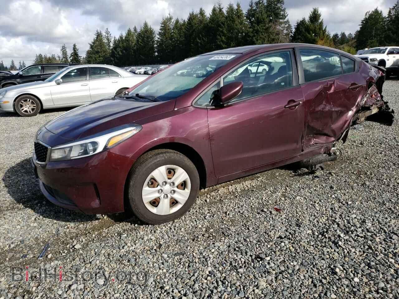 Photo 3KPFK4A74HE044531 - KIA FORTE 2017