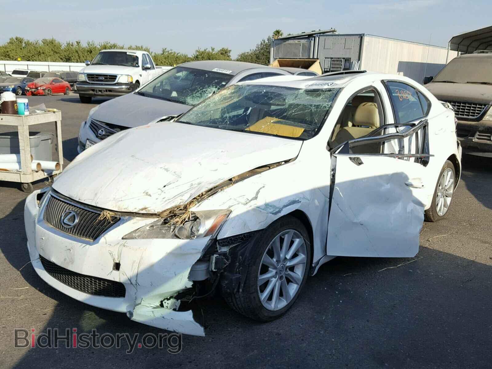 2010 LEXUS IS250 - VIN: JTHBF5C28A2096384 - Фото 2