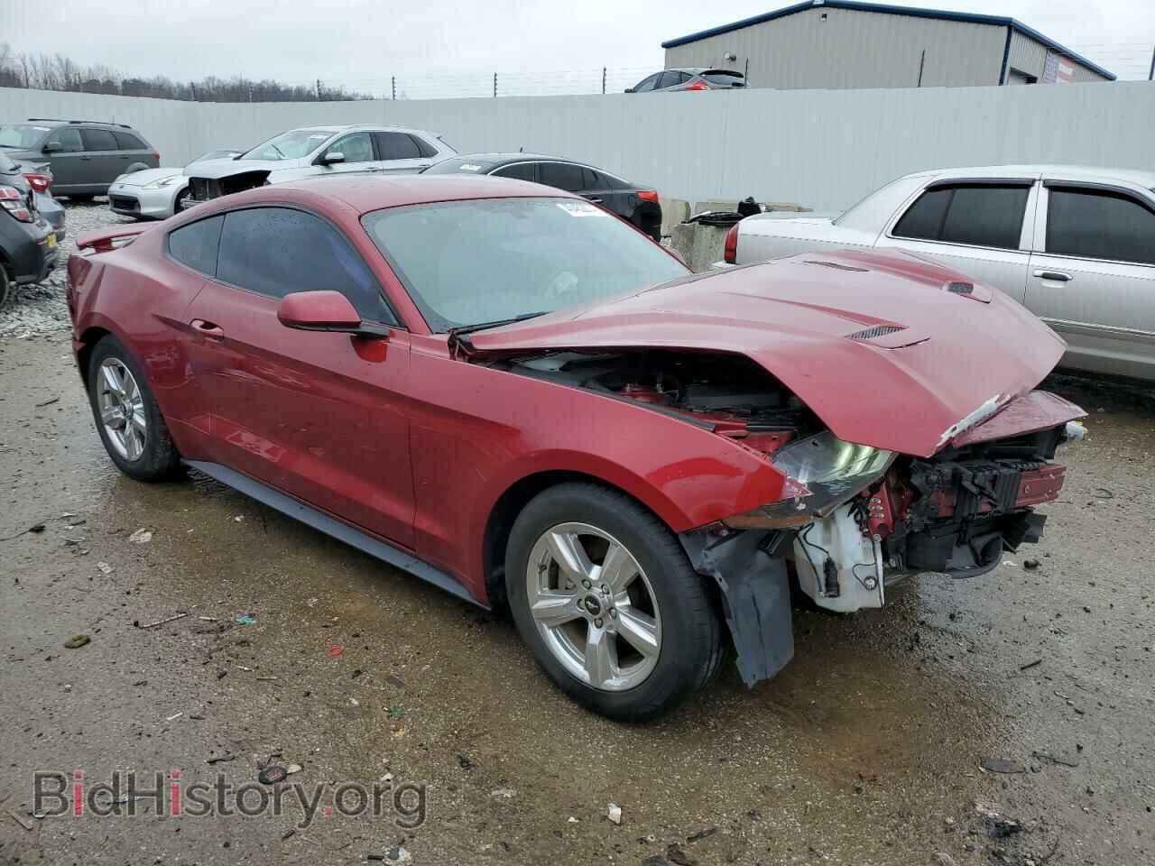 2019 FORD ALL Models - VIN: 1FA6P8TH2K5147440 - Фото 4