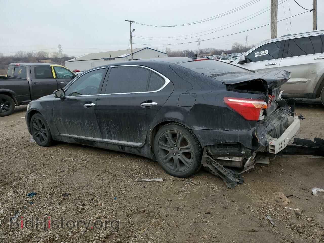 2011 LEXUS LS460 - VIN: JTHDL5EF9B5003759 - Фото 2