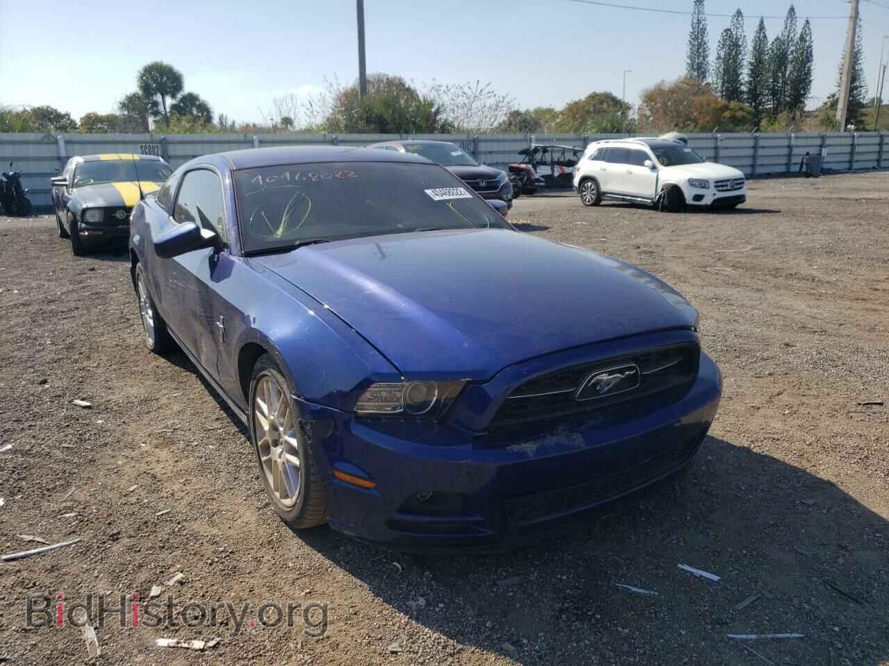 Фотография 1ZVBP8AM2E5308637 - FORD MUSTANG 2014