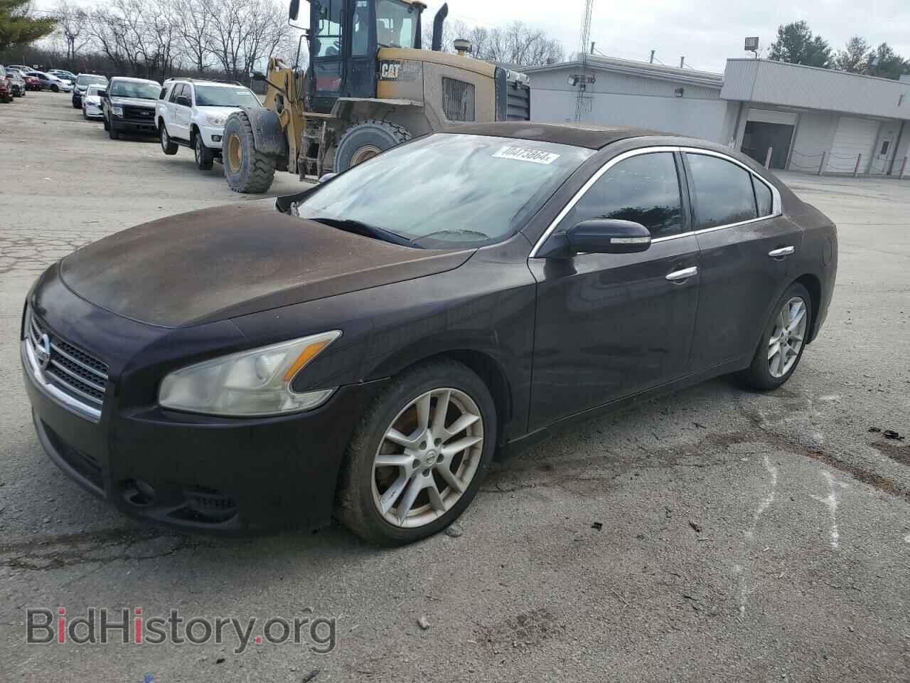 Photo 1N4AA5AP8AC854900 - NISSAN MAXIMA 2010