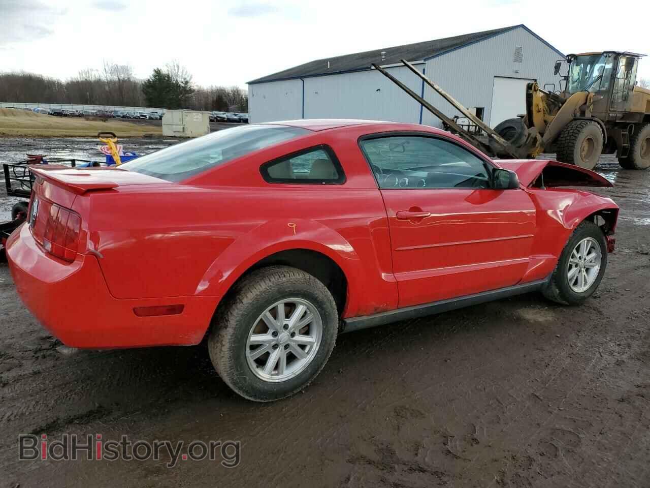 2008 FORD MUSTANG - VIN: 1ZVHT80N585201294 - Фото 3