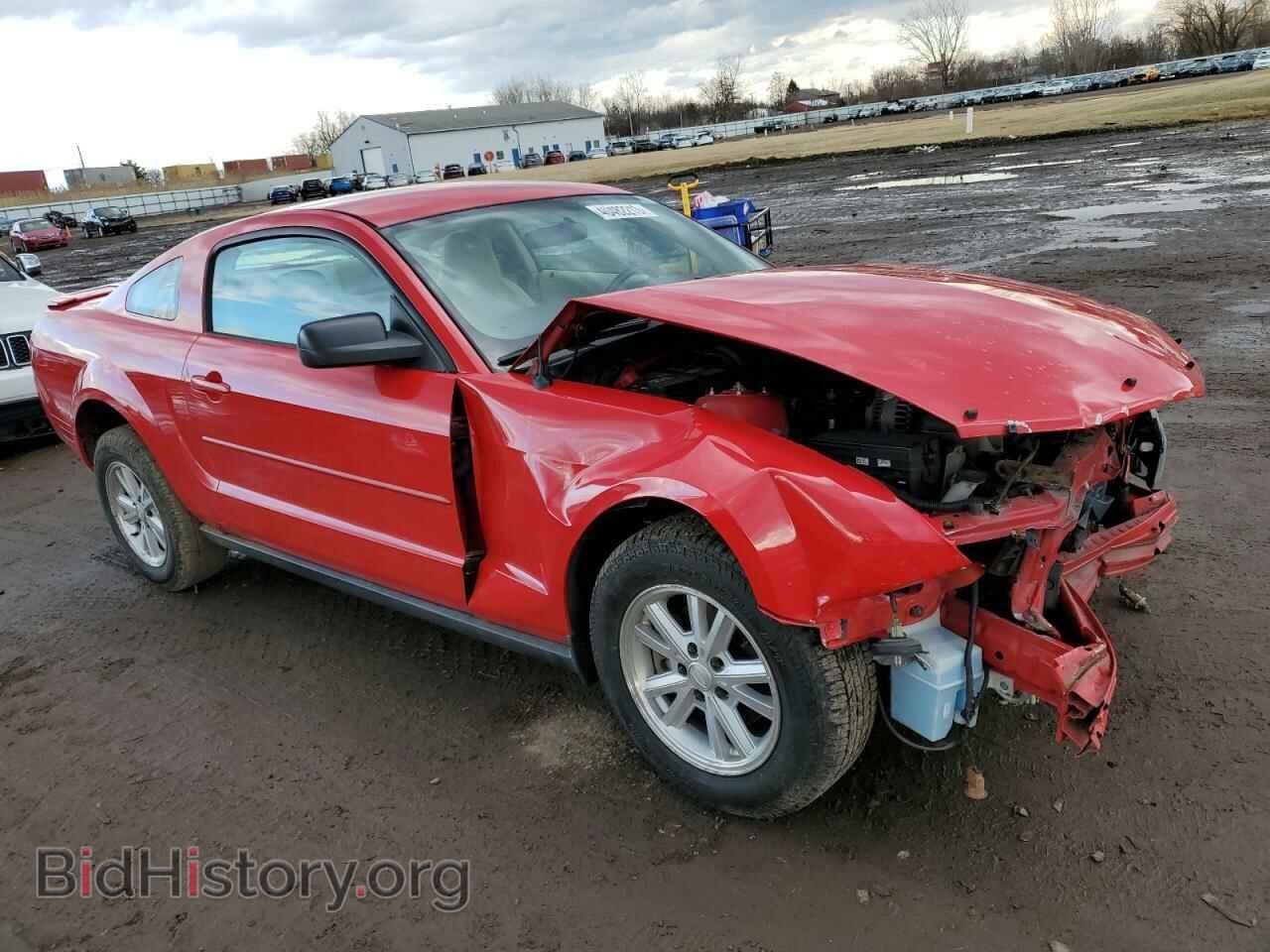 2008 FORD MUSTANG - VIN: 1ZVHT80N585201294 - Фото 4