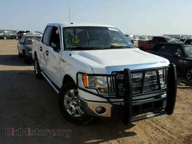 Фотография 1FTFW1CF6DKF36427 - FORD F150 2013