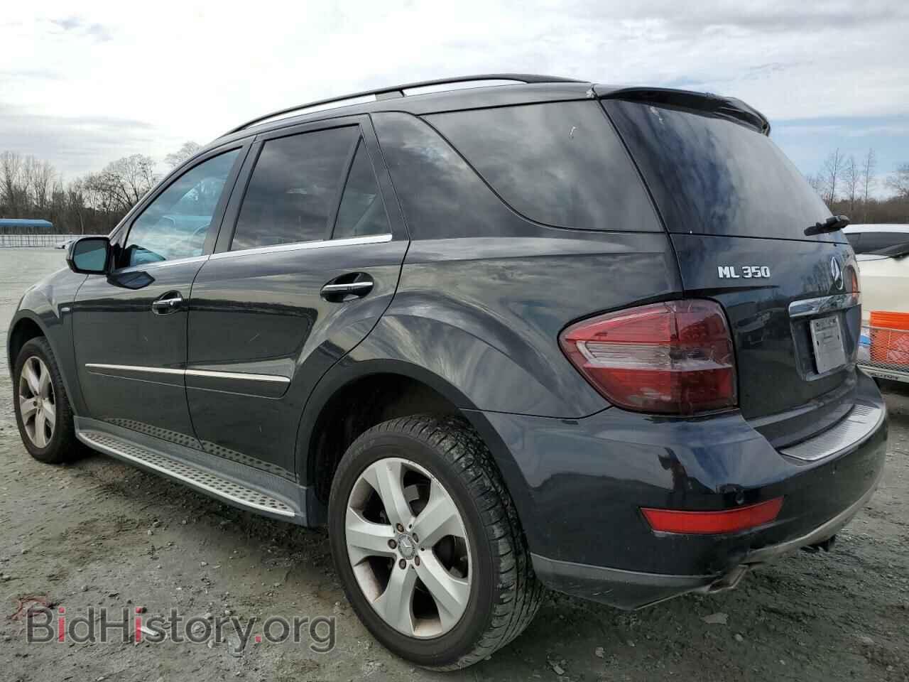 2010 MERCEDES-BENZ M-CLASS - VIN: 4JGBB2FB3AA604155 - Фото 2