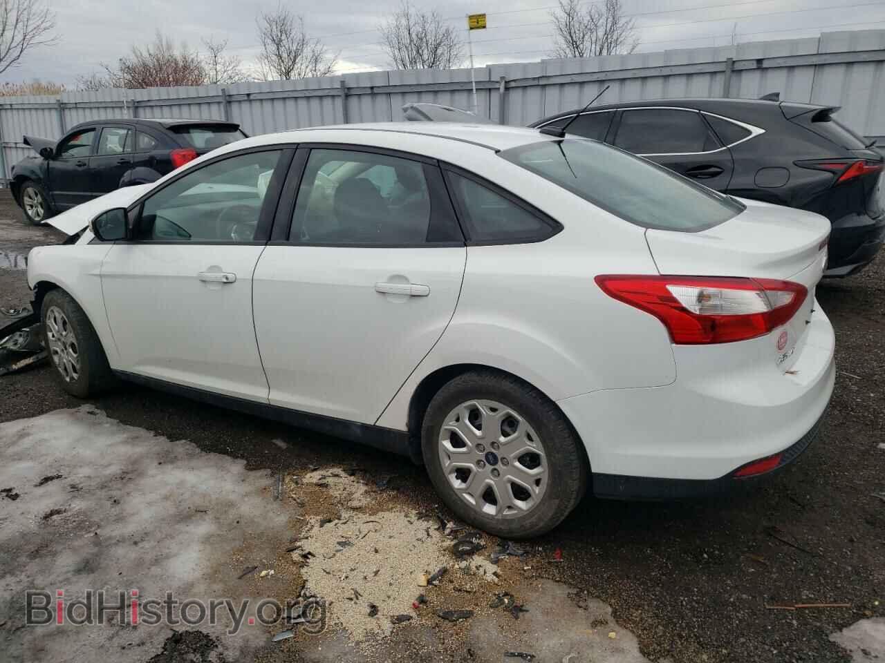 2013 FORD FOCUS - VIN: 1FADP3F22DL310216 - Фото 2