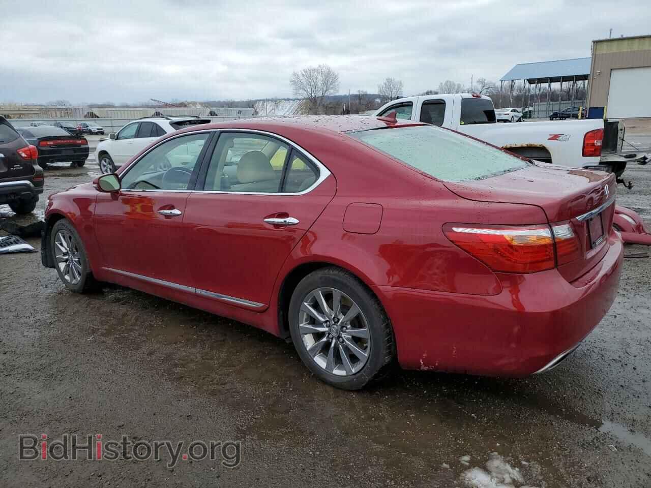 2011 LEXUS LS460 - VIN: JTHCL5EF6B5011667 - Фото 2