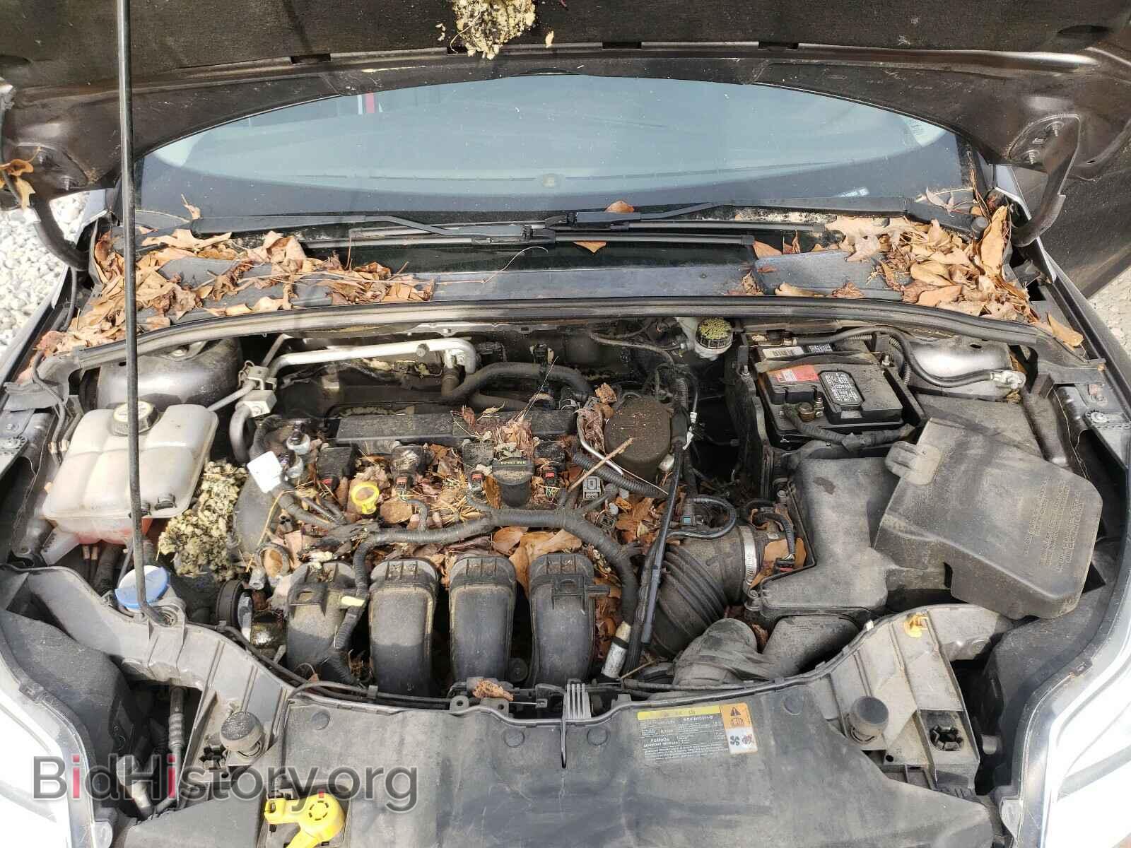 2013 FORD FOCUS - VIN: 1FADP3N22DL132003 - Фото 7