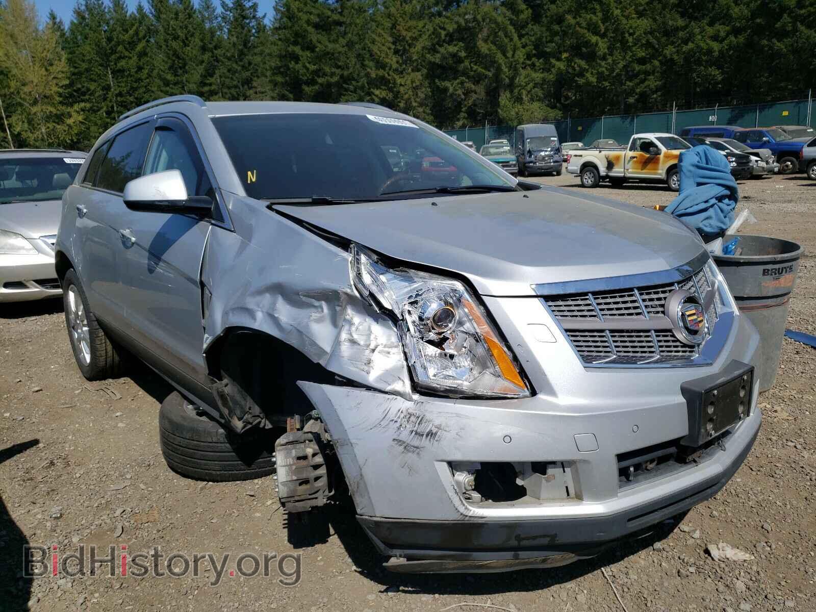Photo 3GYFNFEY0BS507760 - CADILLAC SRX 2011