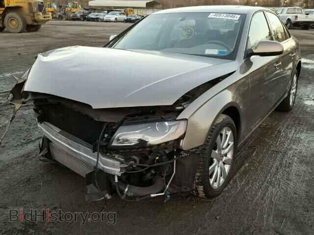 2010 AUDI A4 - VIN: WAUFFAFL4AN009737 - Фото 2