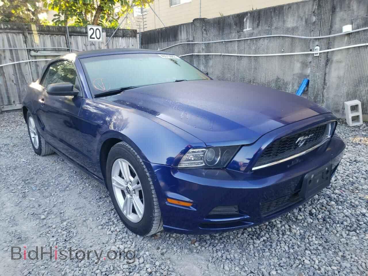 Фотография 1ZVBP8EM1E5238364 - FORD MUSTANG 2014