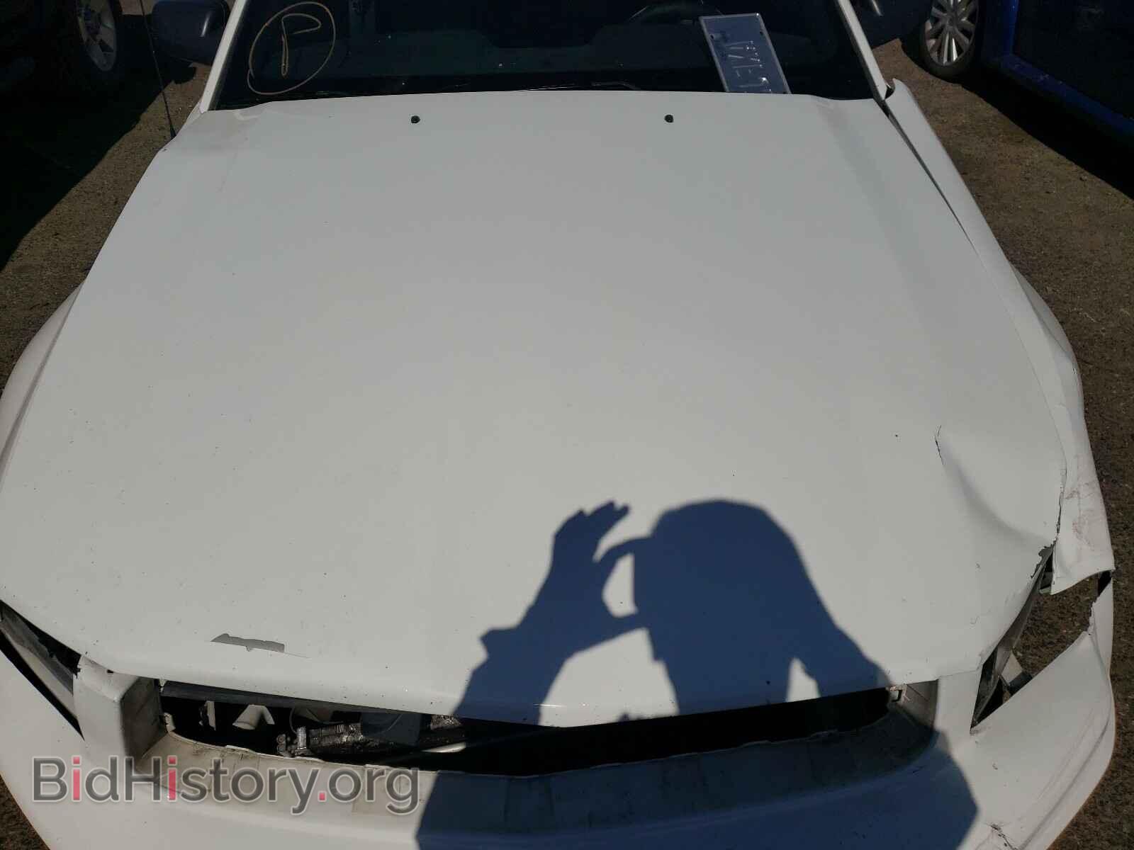 2008 FORD MUSTANG - VIN: 1ZVHT80N285201639 - Фото 7