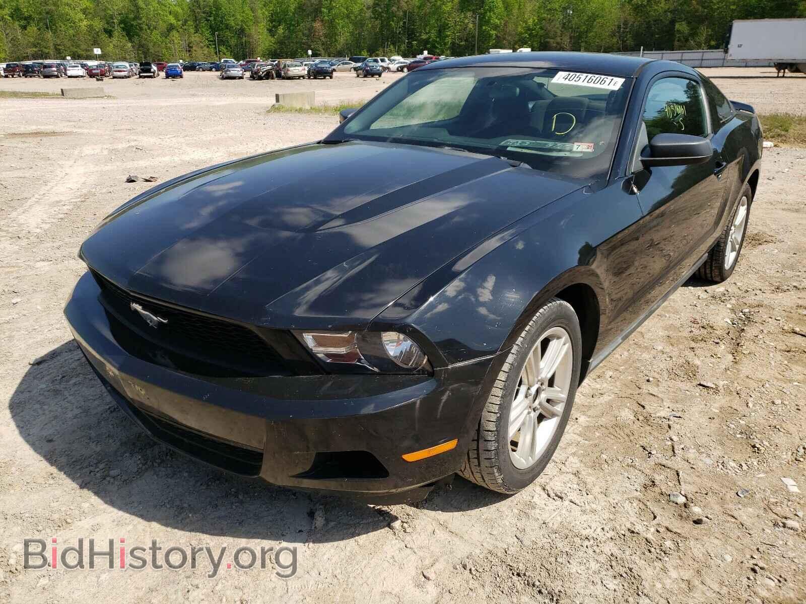 2010 FORD MUSTANG - VIN: 1ZVBP8AN2A5117562 - Фото 2