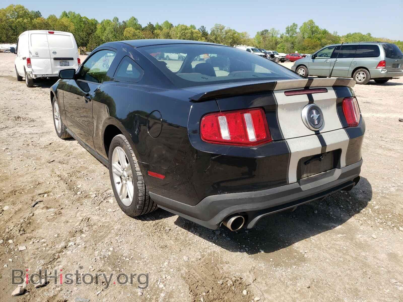 2010 FORD MUSTANG - VIN: 1ZVBP8AN2A5117562 - Фото 3
