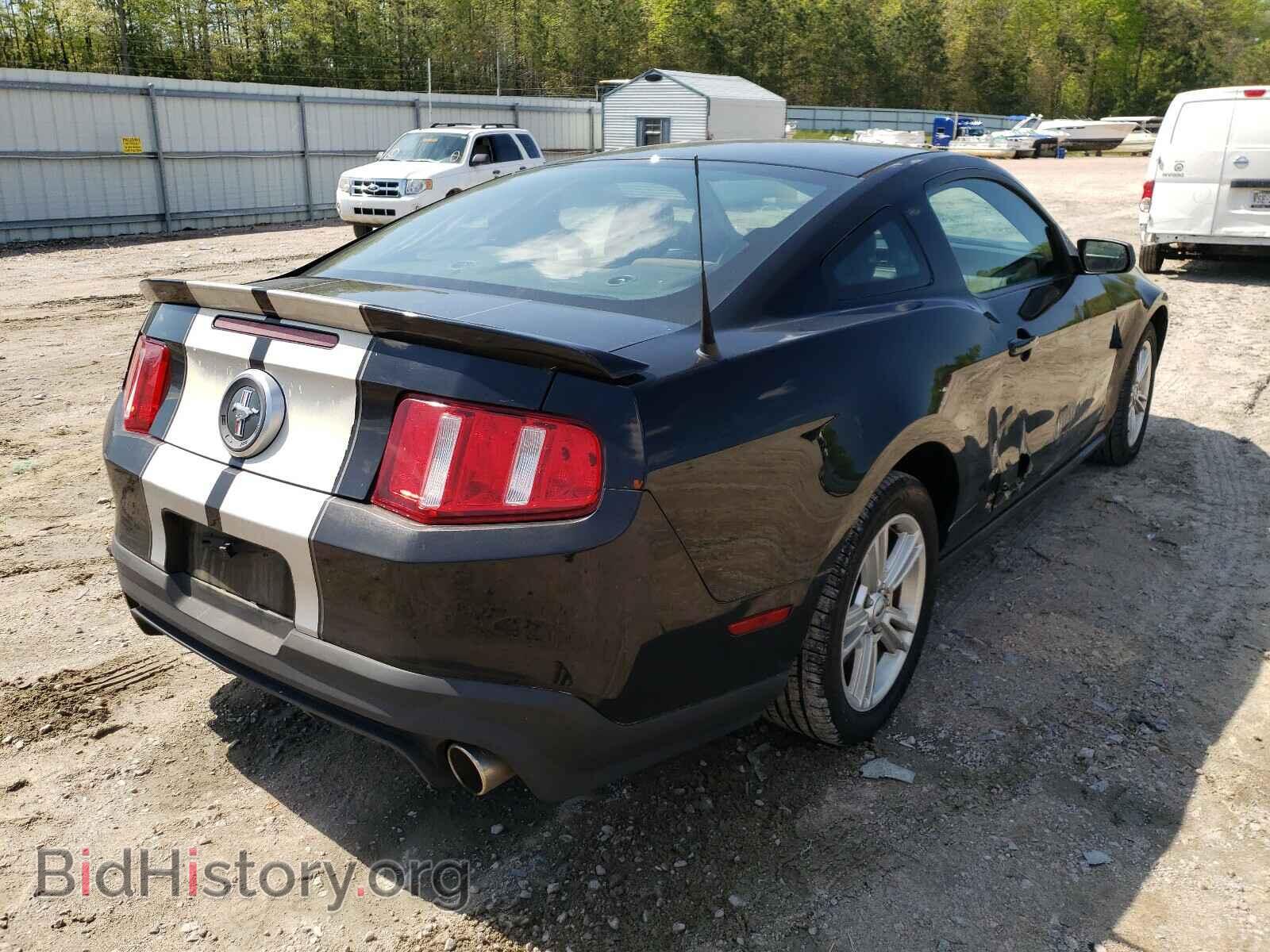 2010 FORD MUSTANG - VIN: 1ZVBP8AN2A5117562 - Фото 4