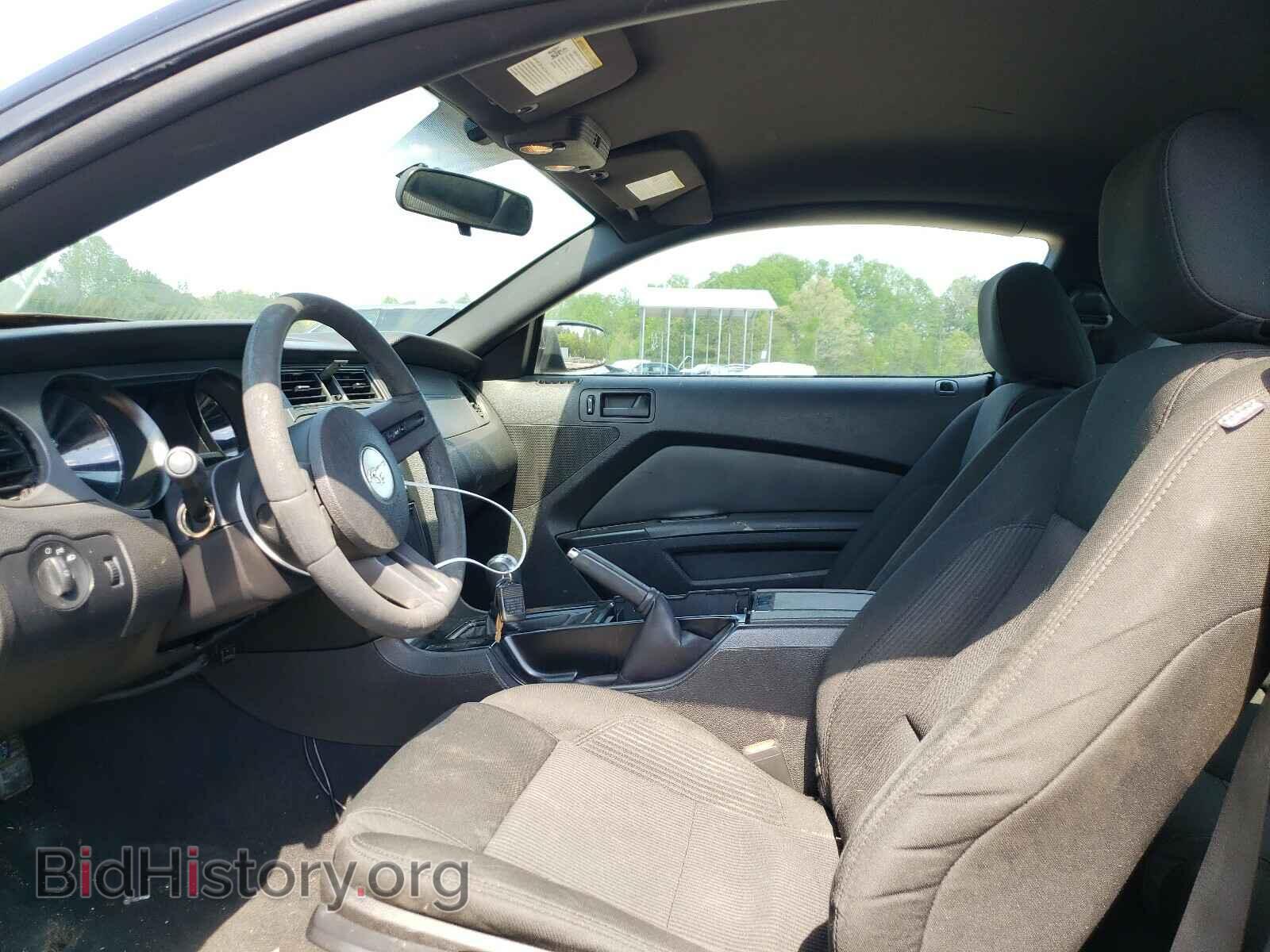 2010 FORD MUSTANG - VIN: 1ZVBP8AN2A5117562 - Фото 5