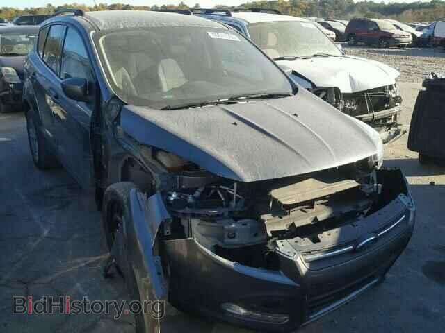 Photo 1FMCU0GX7EUD18603 - FORD ESCAPE 2014