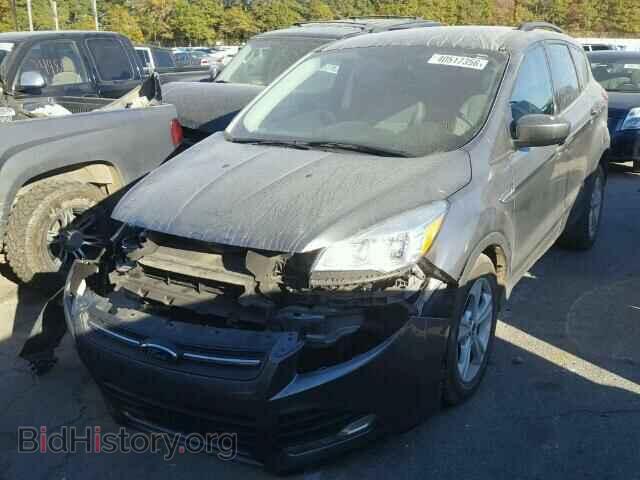 2014 FORD ESCAPE - VIN: 1FMCU0GX7EUD18603 - Фото 2