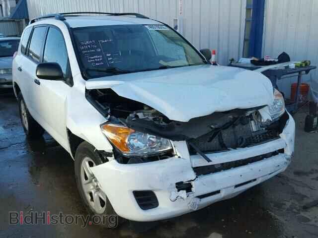 Фотография 2T3BF4DV2BW100653 - TOYOTA RAV4 2011