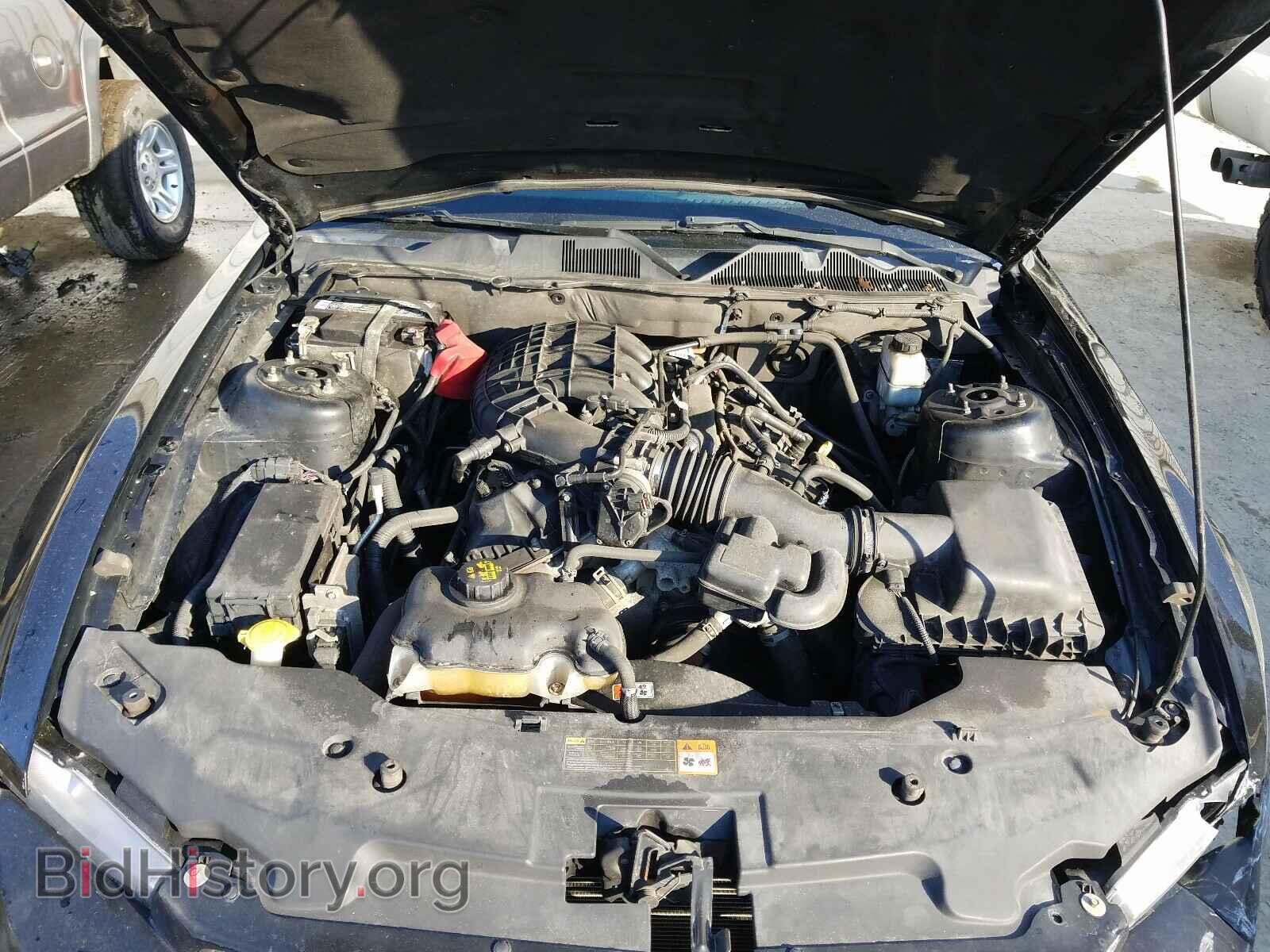 2012 FORD MUSTANG - VIN: 1ZVBP8AM7C5246231 - Фото 7