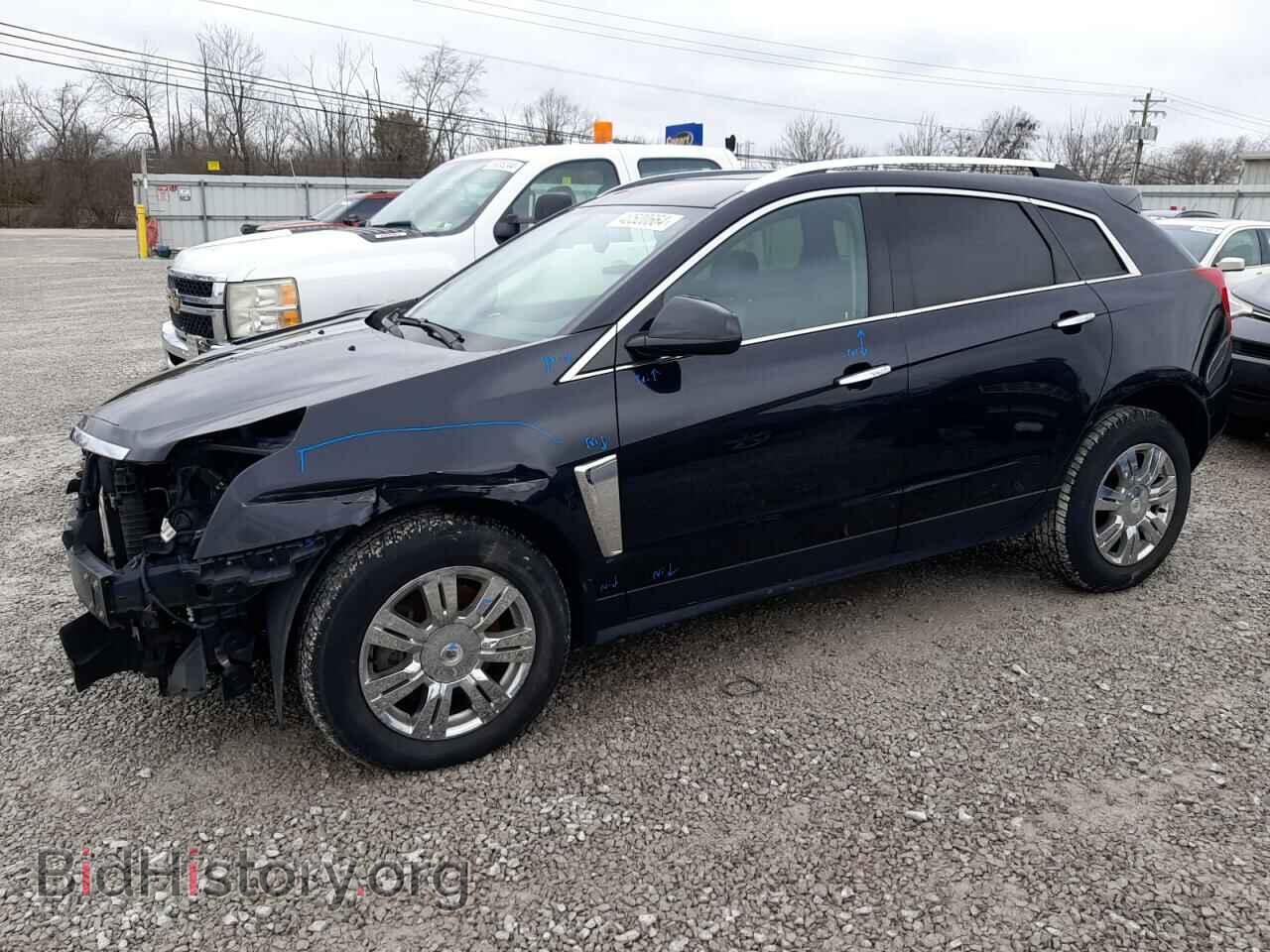 Фотография 3GYFNGE3XDS594581 - CADILLAC SRX 2013
