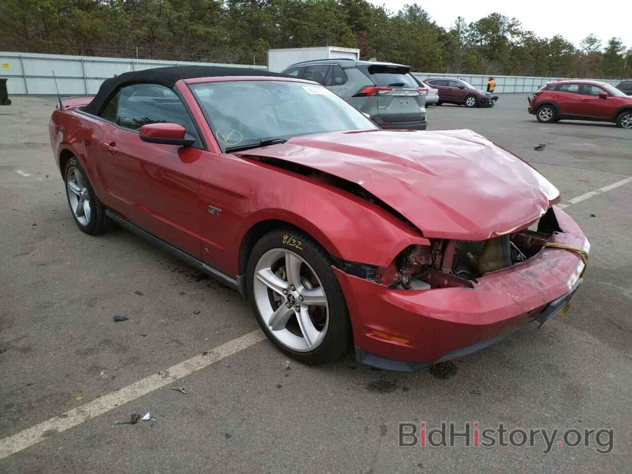 Photo 1ZVBP8FH4A5100832 - FORD MUSTANG 2010