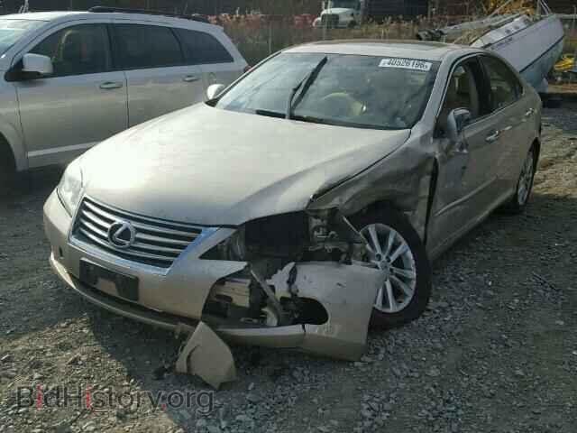 2011 LEXUS ES350 - VIN: JTHBK1EG6B2430670 - Фото 2