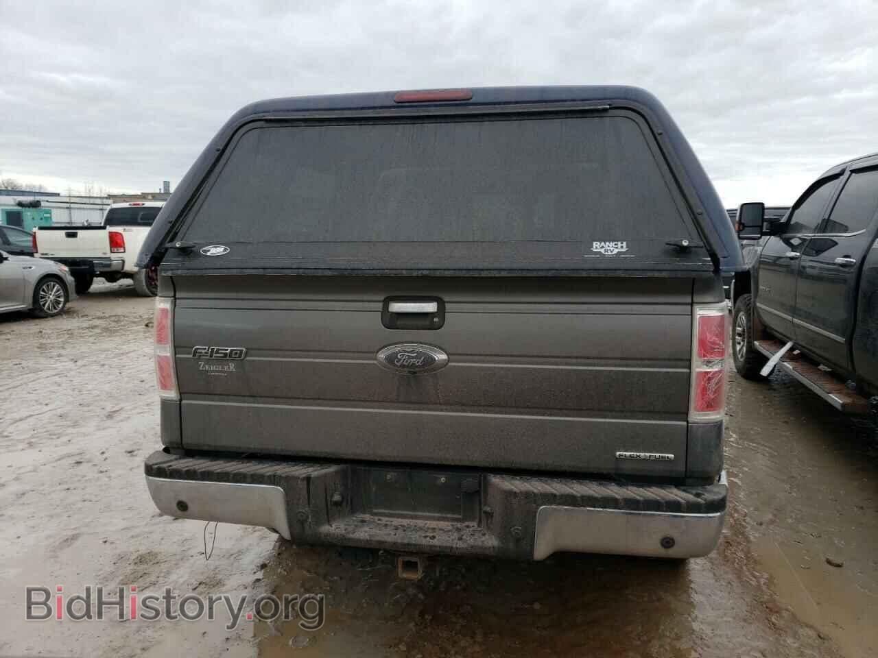 2013 FORD F-150 - VIN: 1FTFW1EF8DFD25512 - Фото 6