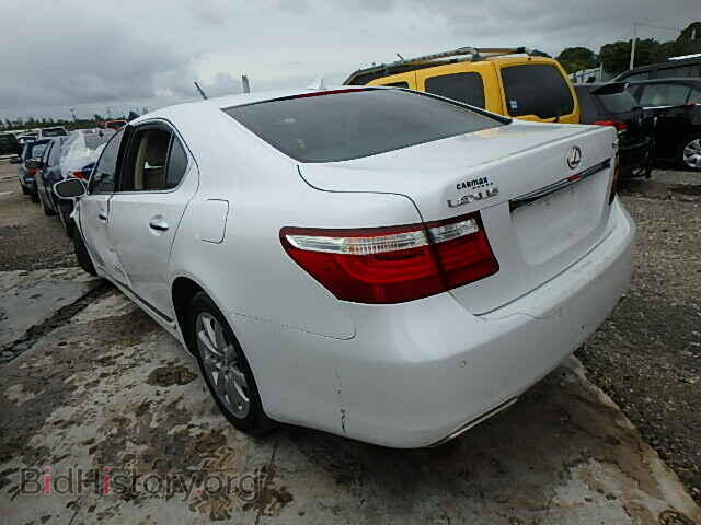 2009 LEXUS LS460 - VIN: JTHGL46F695034399 - Фото 3