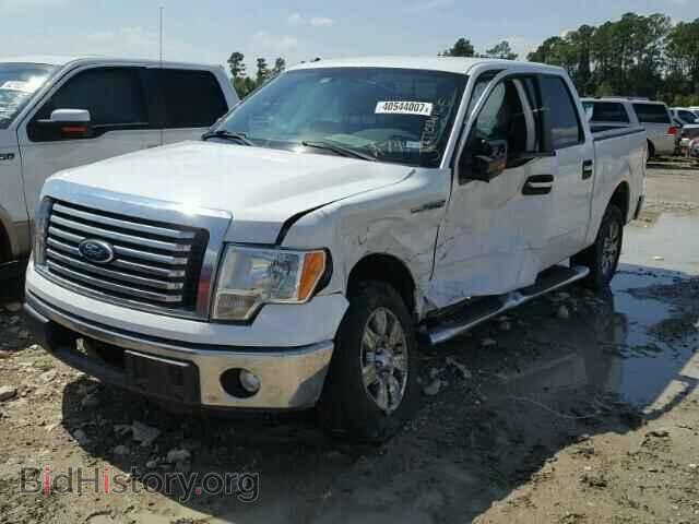 2012 FORD F150 - VIN: 1FTFW1CT2CFA74445 - Фото 2
