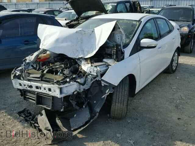 2013 FORD FOCUS - VIN: 1FADP3F2XDL191394 - Фото 2