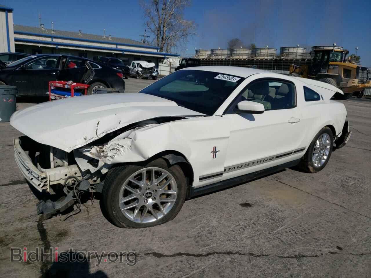 Фотография 1ZVBP8AM5C5237589 - FORD MUSTANG 2012