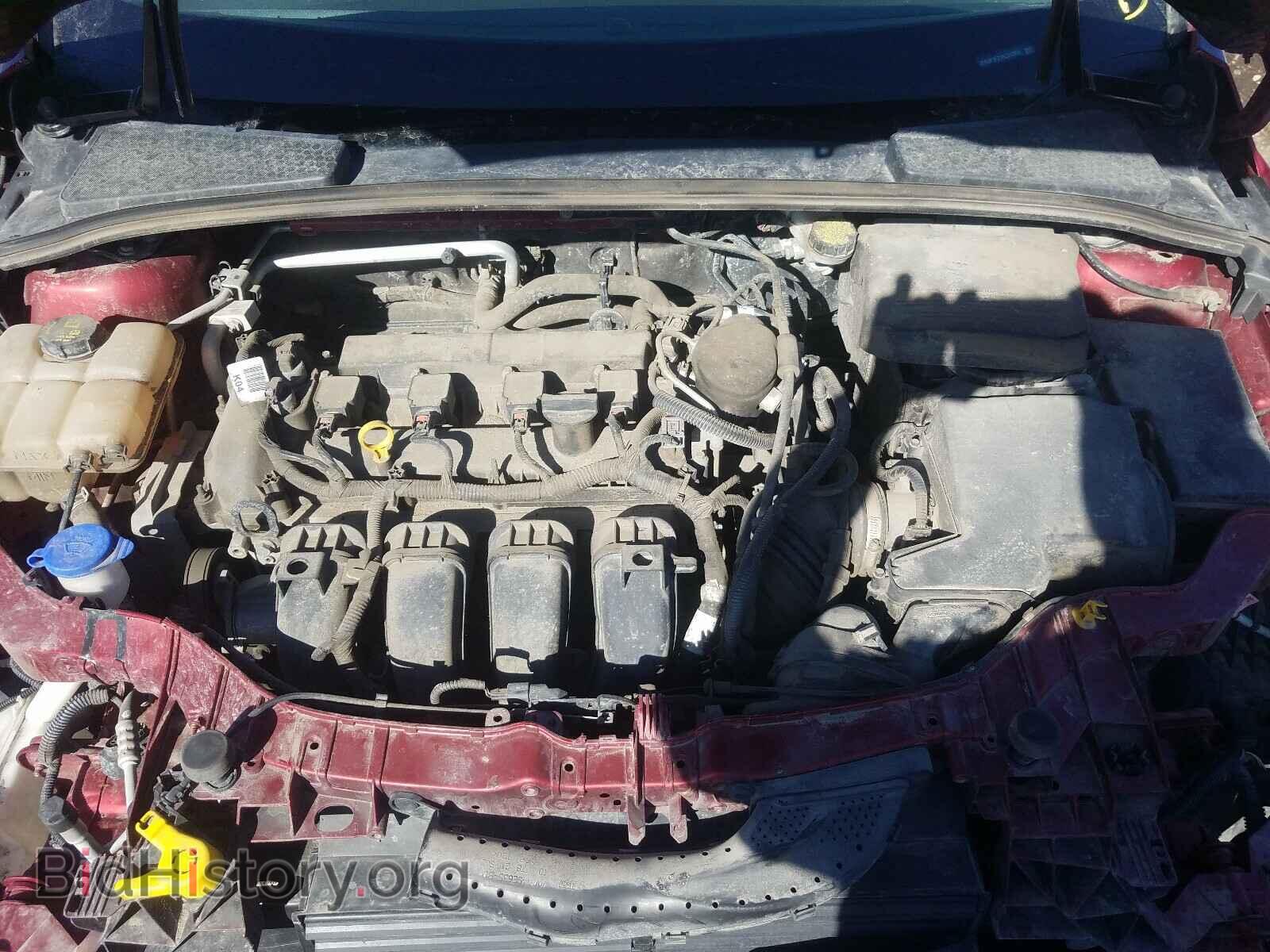2014 FORD FOCUS - VIN: 1FADP3F21EL343368 - Фото 7